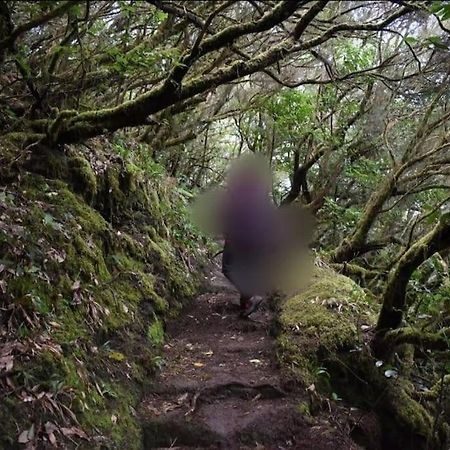 Monte Verde Chinamada Bagian luar foto
