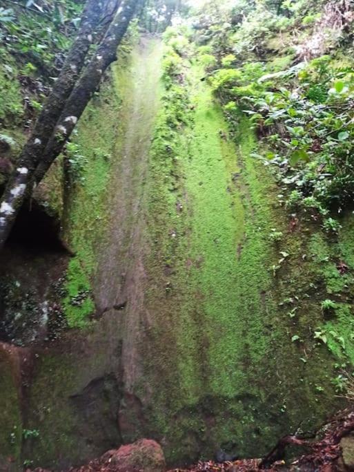 Monte Verde Chinamada Bagian luar foto