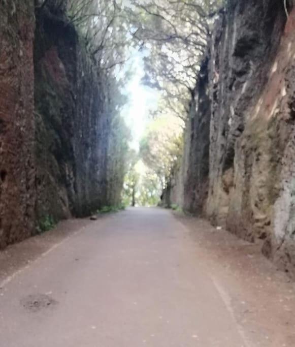 Monte Verde Chinamada Bagian luar foto
