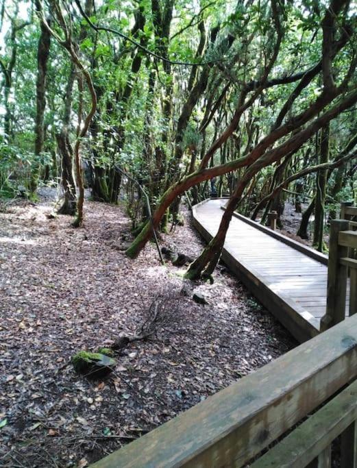 Monte Verde Chinamada Bagian luar foto